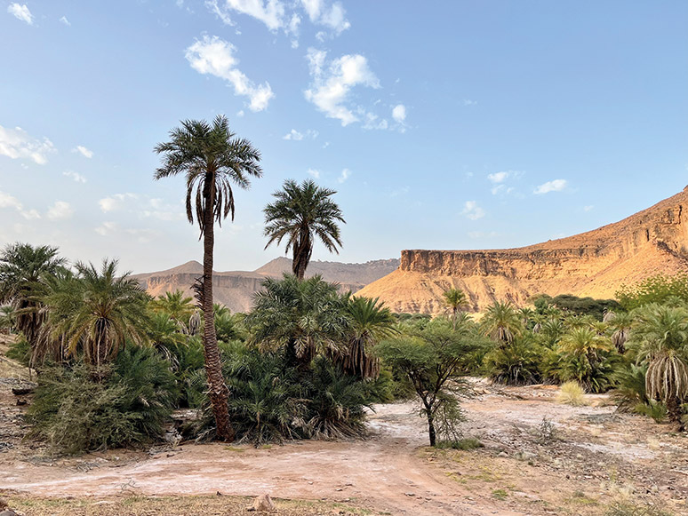 Zima na Saharze w starym kamperze 13