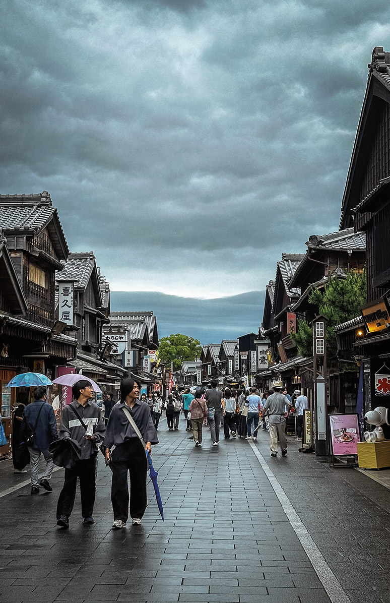 Wycieczka do Japonii. Sakura za oknem kampera 10