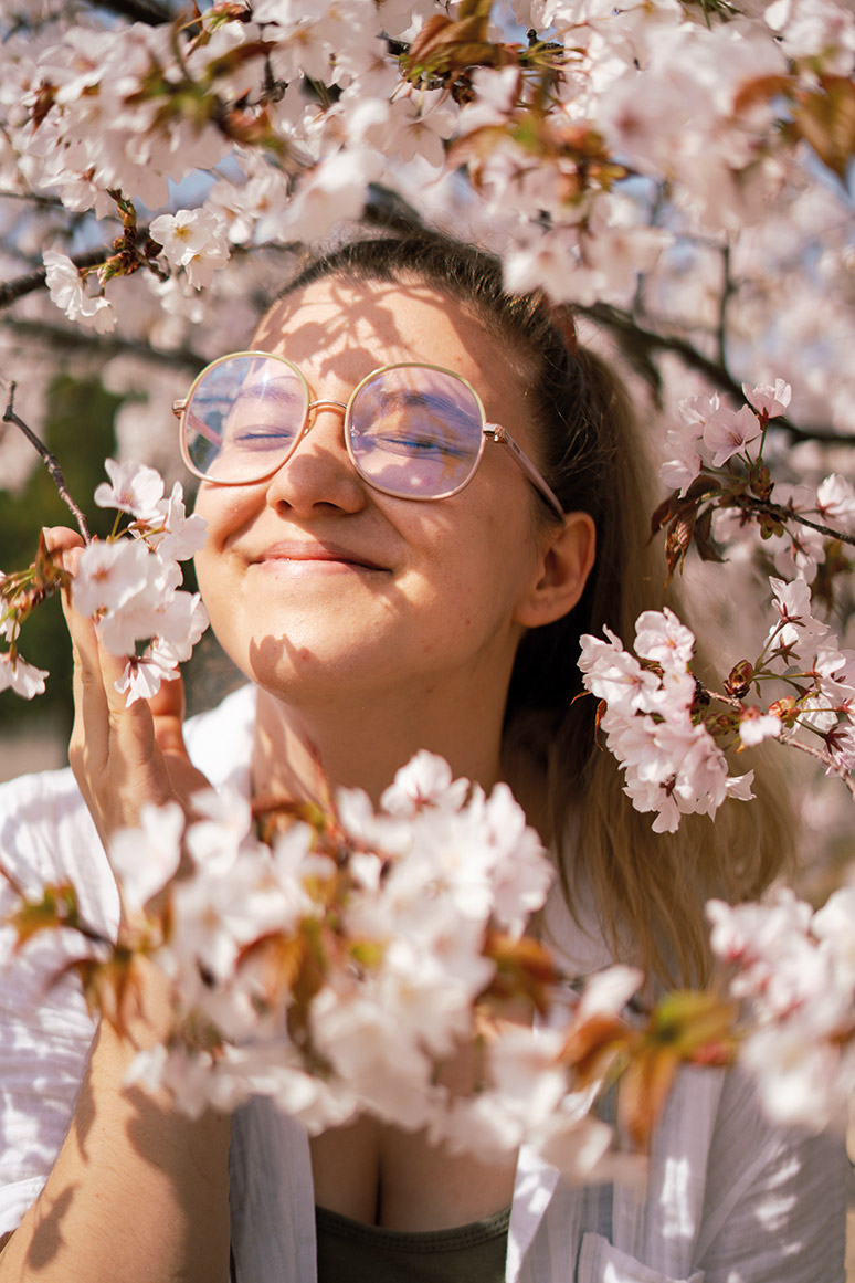 Wycieczka do Japonii. Sakura za oknem kampera 21