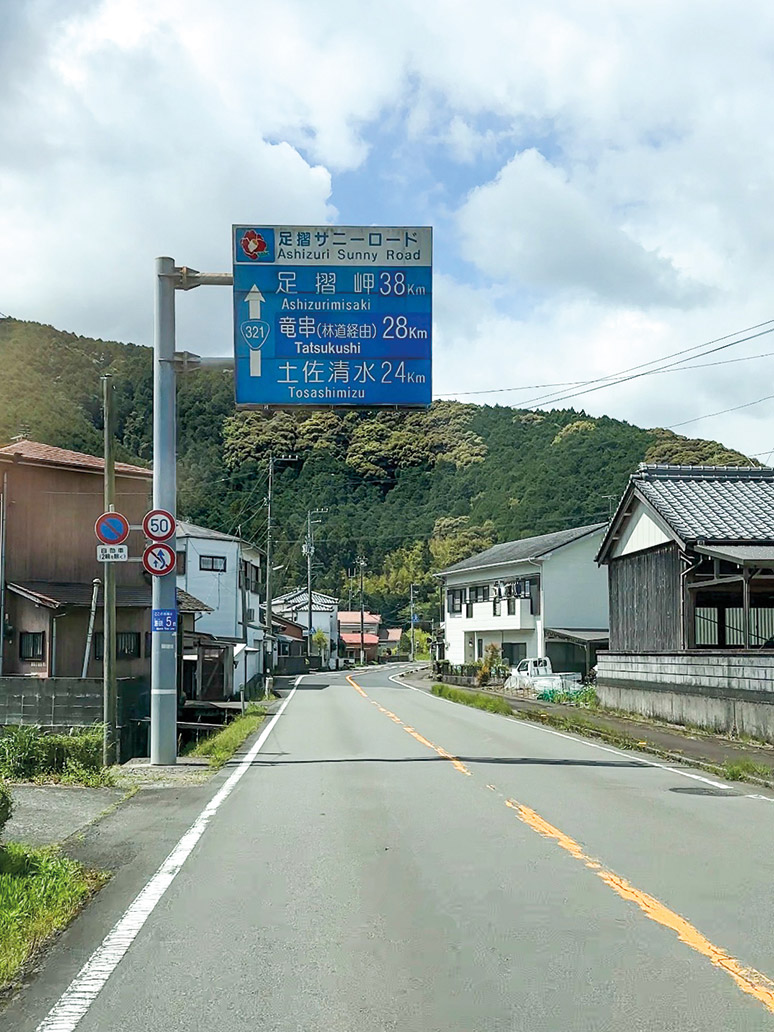 Wycieczka do Japonii. Sakura za oknem kampera 22