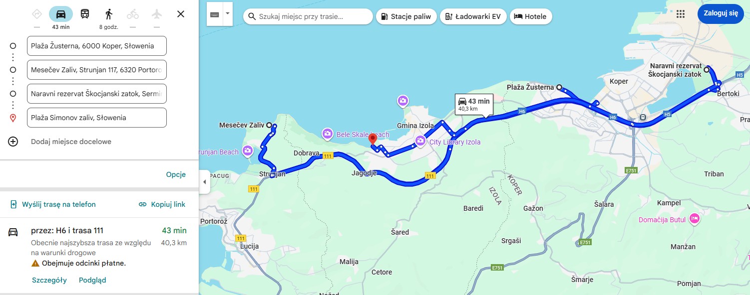 Google maps - plan trasy 