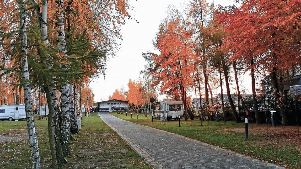 Camping Pod Brzozami