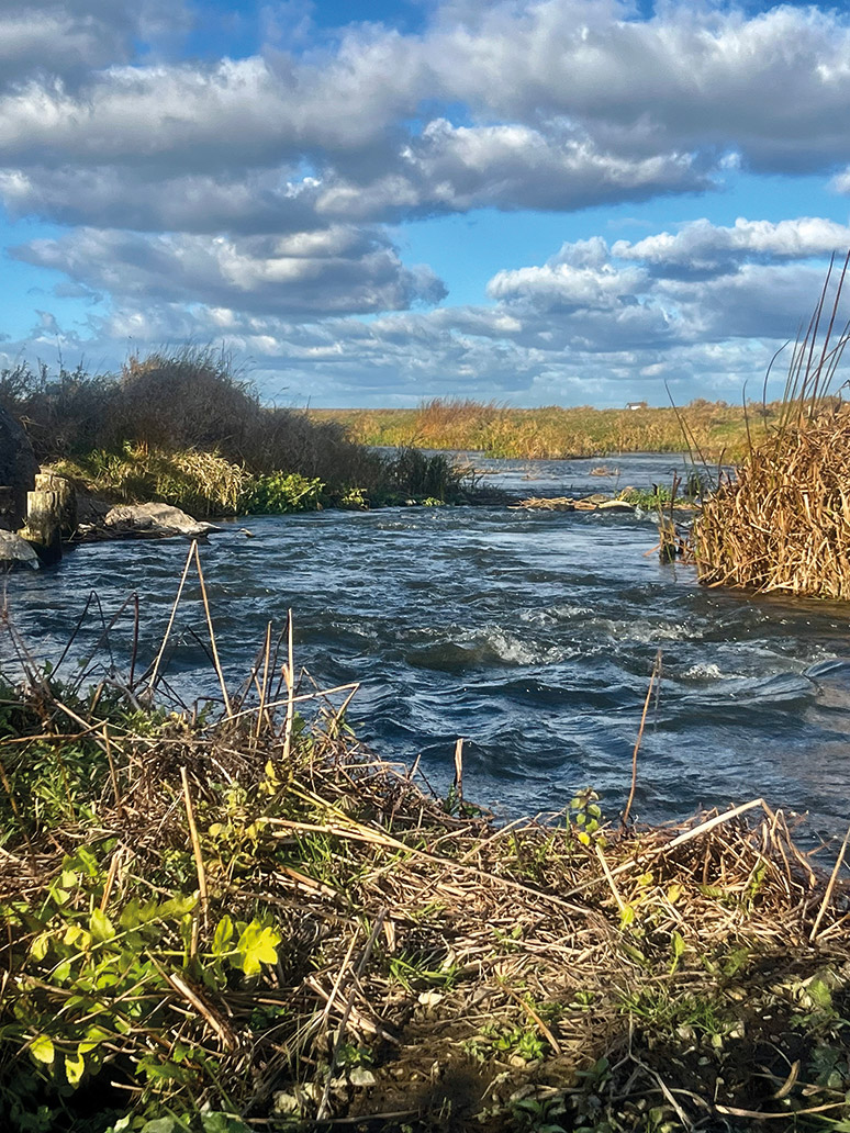 Nadnarwiańskie zaczarowanie 3
