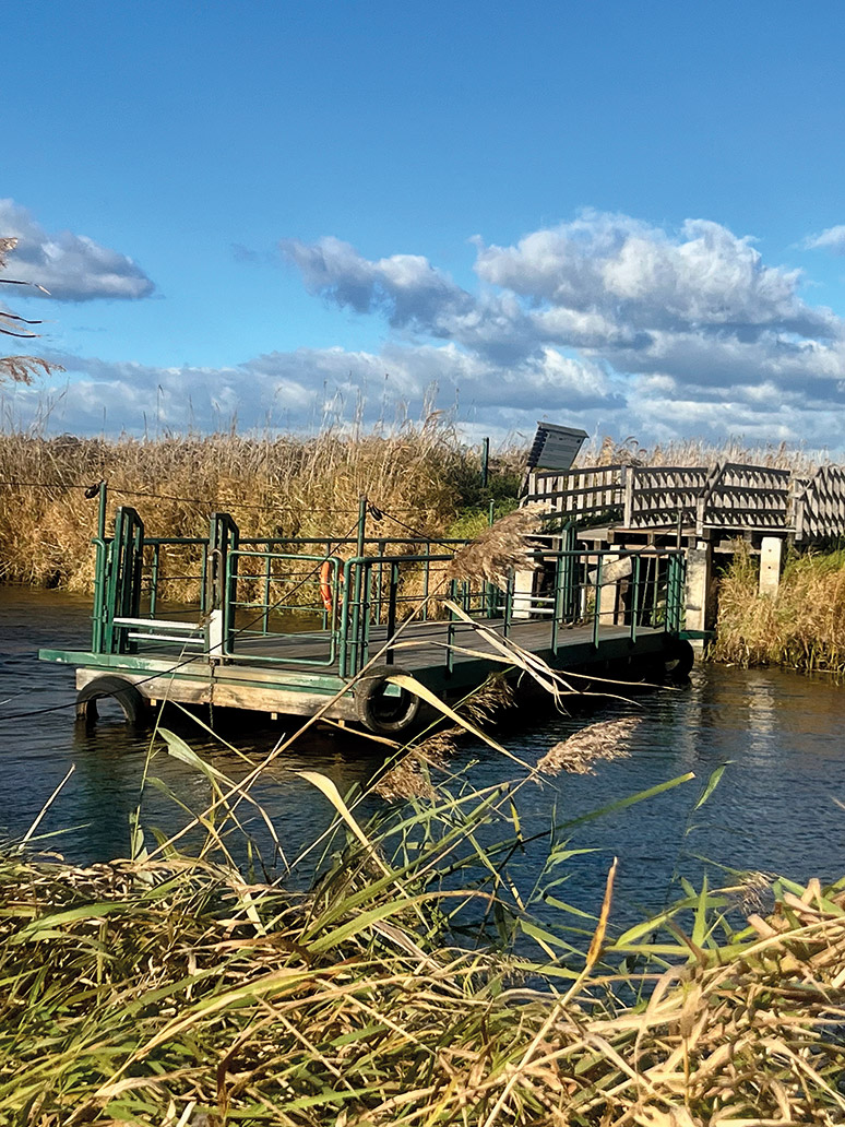 Nadnarwiańskie zaczarowanie 4
