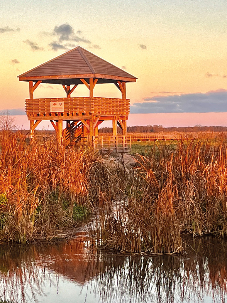 Nadnarwiańskie zaczarowanie 6