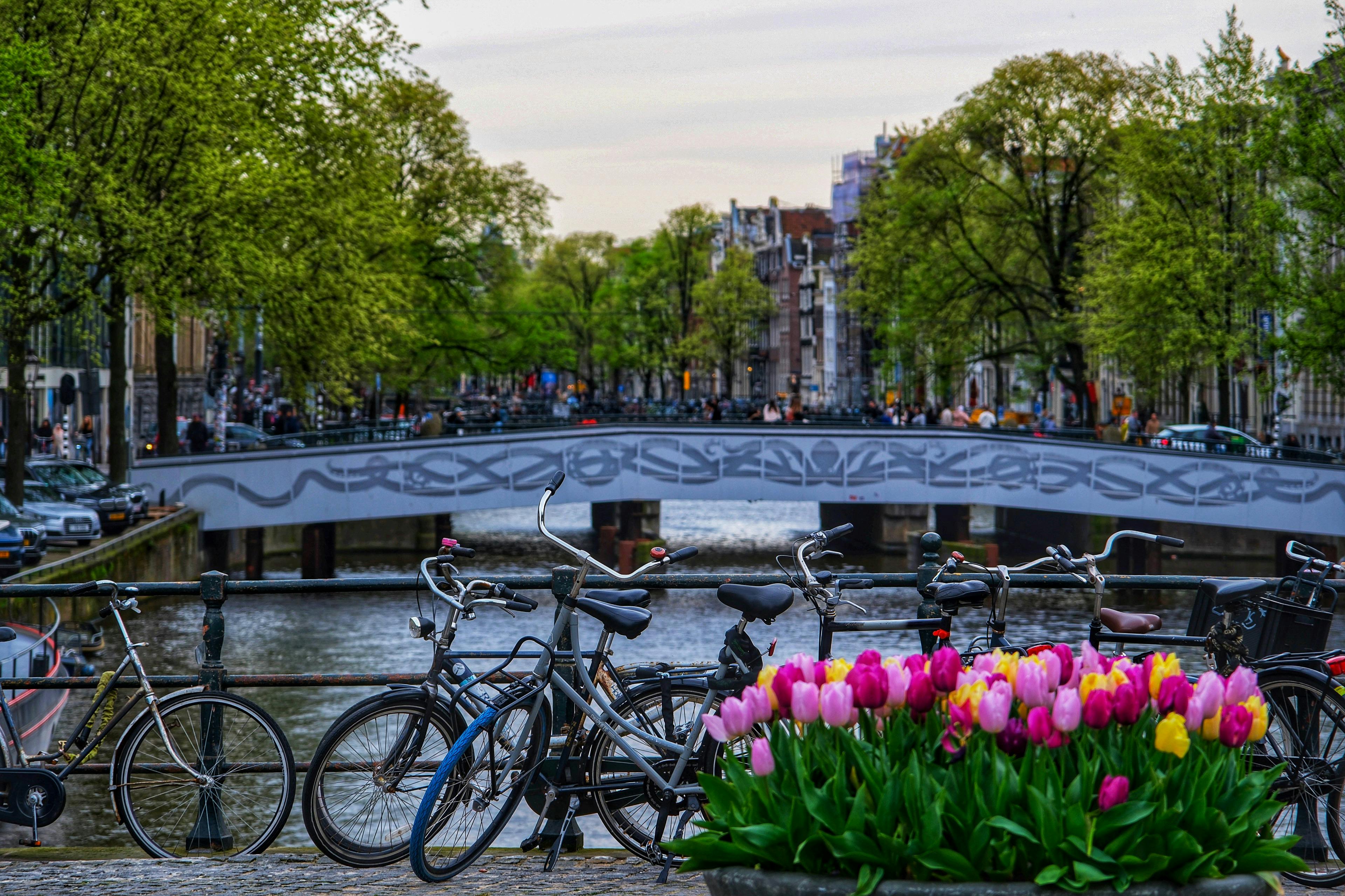 Zobaczyć Amsterdam - widok na kanał w Amsterdamie