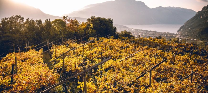 Jesienne festiwale gastronomiczne w Trentino 2