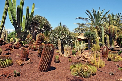 Fuerteventura i Lanzarote – cuda natury 10